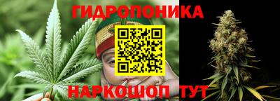 мдпв Можга