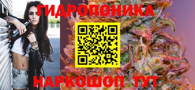 гидра Моздок