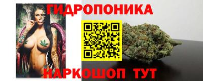 мдпв Можга