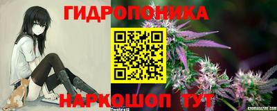 гидра Моздок