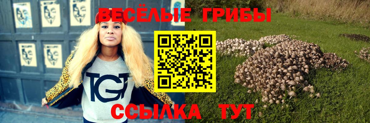 где найти наркотики  Псилоцибиновые грибы прущие грибы  Чебаркуль  Вход с VPN  Псилоцибиновые грибы прущие грибы 