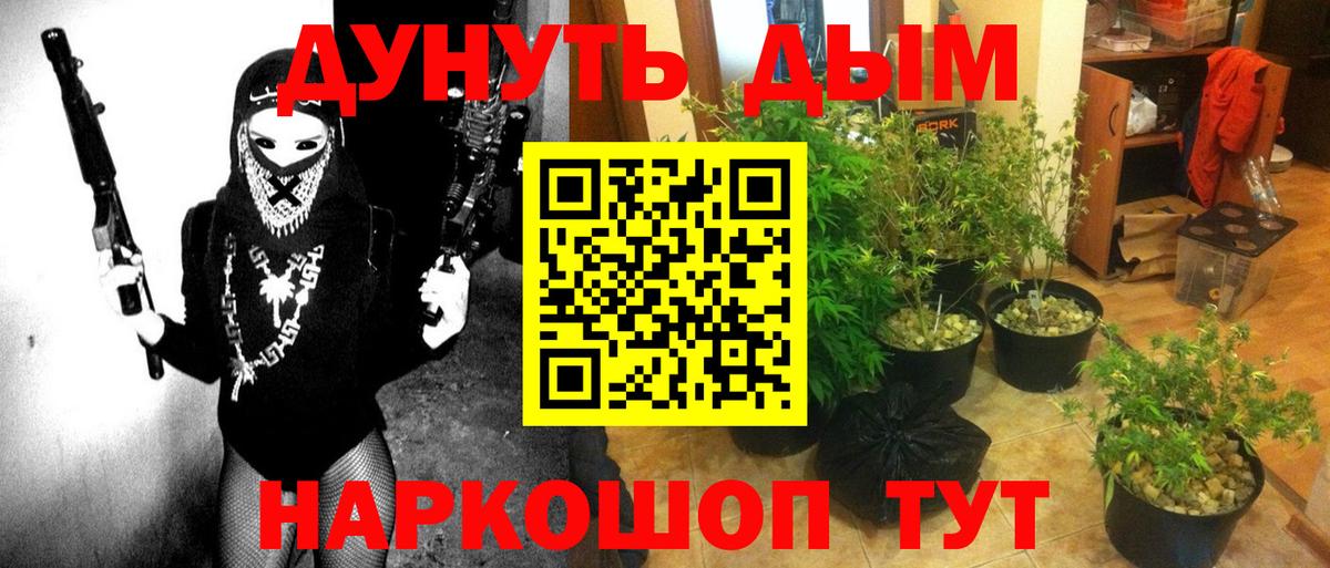 Каннабис сатива  Бошки Шишки семена  Бошки Шишки индика  Вход с VPN  Чебаркуль  Каннабис AK-47 